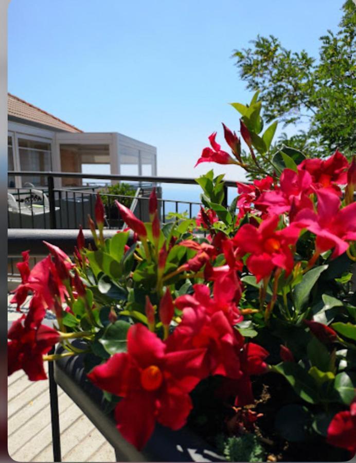Santangelo Hotel Mattinata Exterior foto